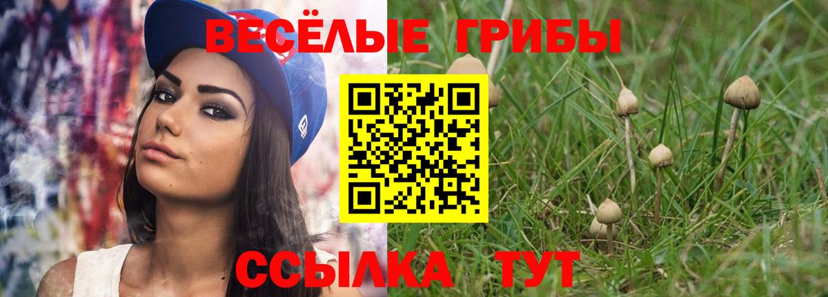 Галлюциногенные грибы Psilocybine cubensis  Вход с VPN  Ханты-Мансийск 